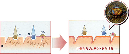 保護イメージ